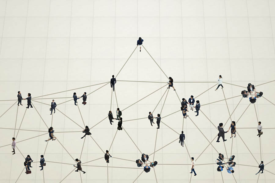 Forum-Specific Litigation Support